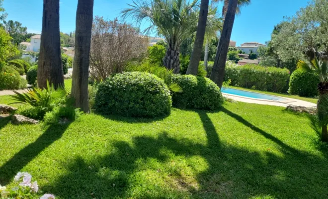 Entretien d'un jardin à Saint-Aygulf, Roquebrune-sur-Argens, MLM Paysage