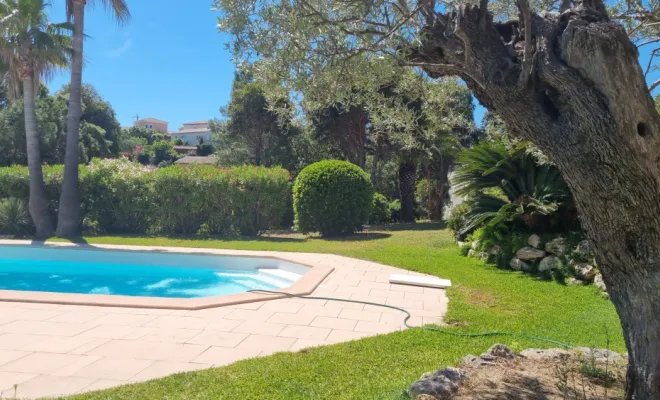 Entretien d'un jardin à Saint-Aygulf, Roquebrune-sur-Argens, MLM Paysage