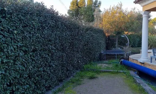 Travaux d'entretien d'espaces verts, Roquebrune-sur-Argens, MLM Paysage