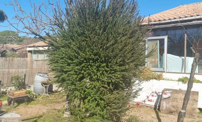 Travaux d'entretien d'espaces verts, Roquebrune-sur-Argens, MLM Paysage